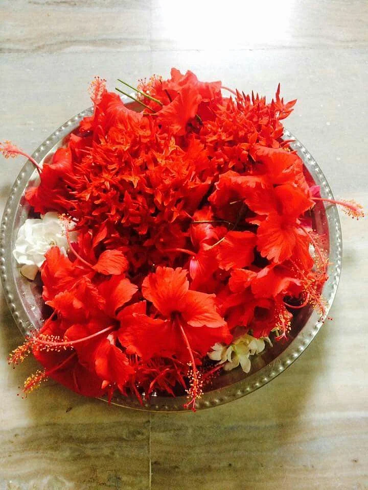 Red flower