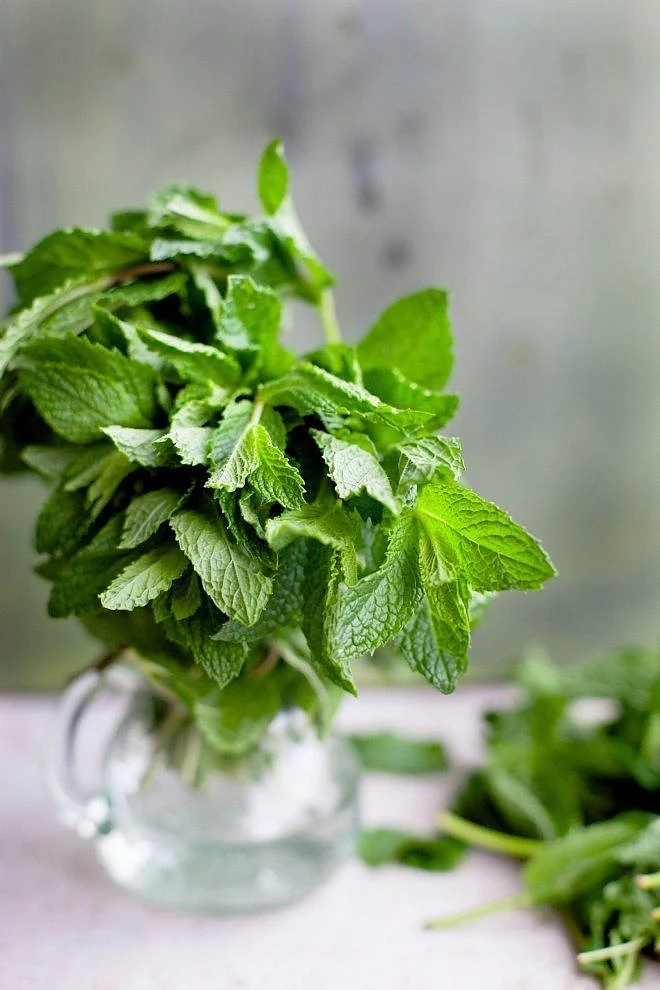 Mint
