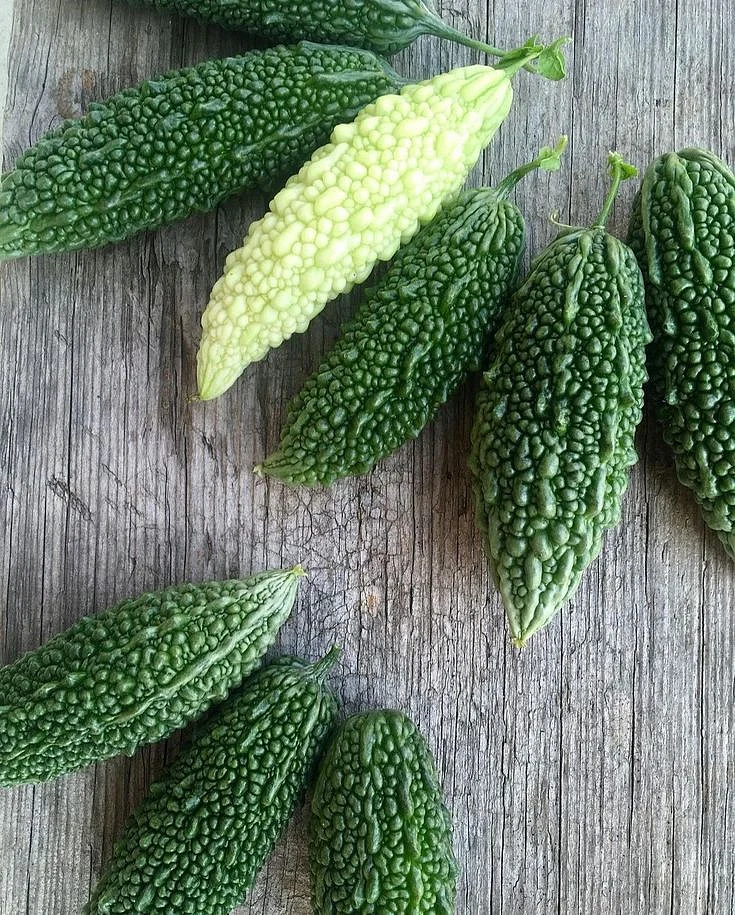 Bitter gourd