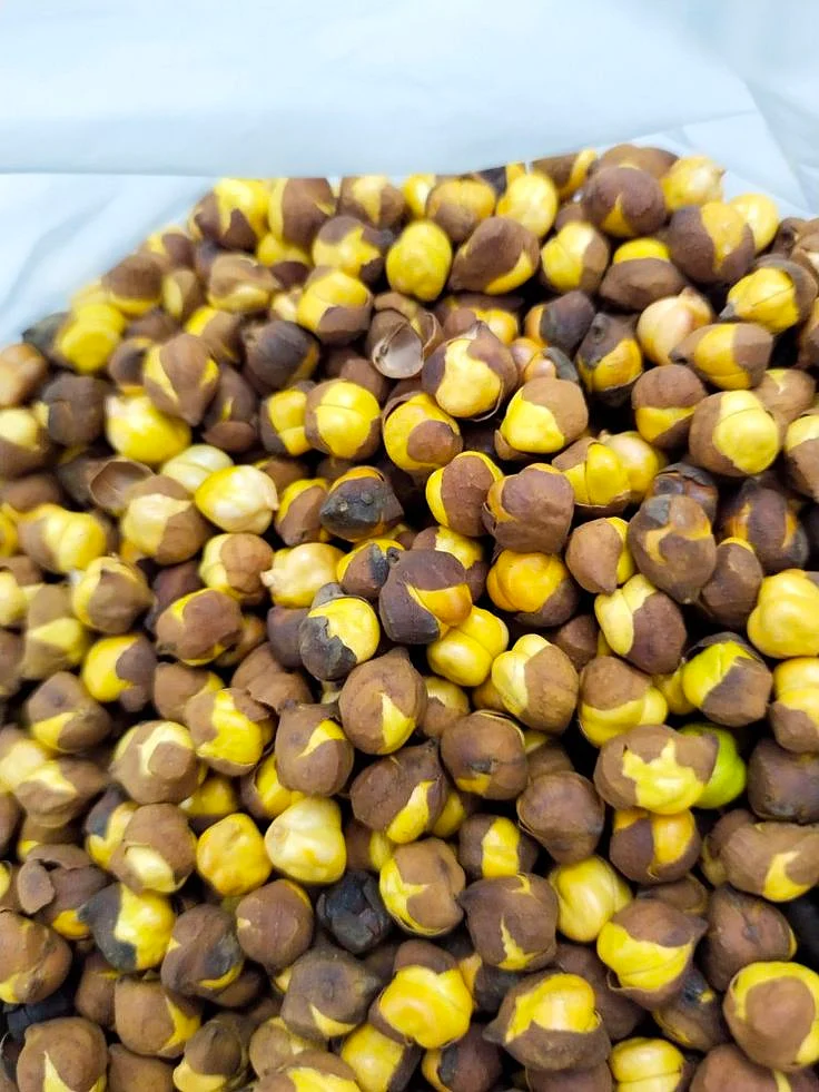 Roasted chickpeas 6