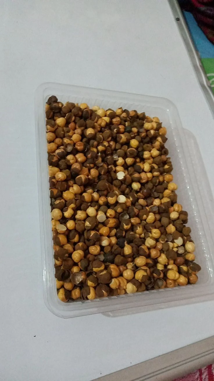 Roasted chickpeas 7