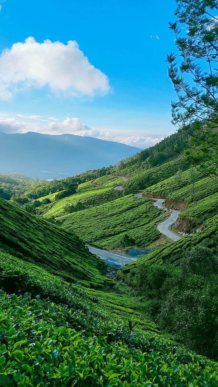 Munnar