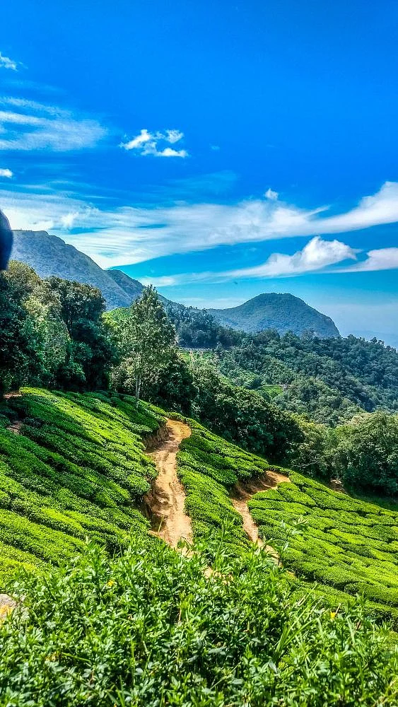 Darjeeling