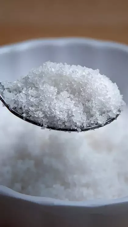 Salt 4