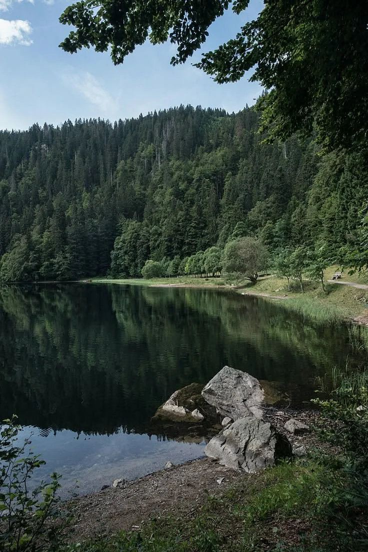 Black Forest Germany