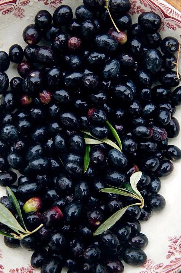 jamun. 2
