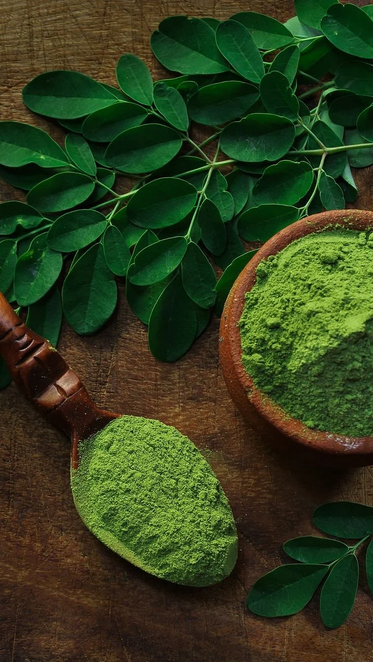 Moringa Leaves 2