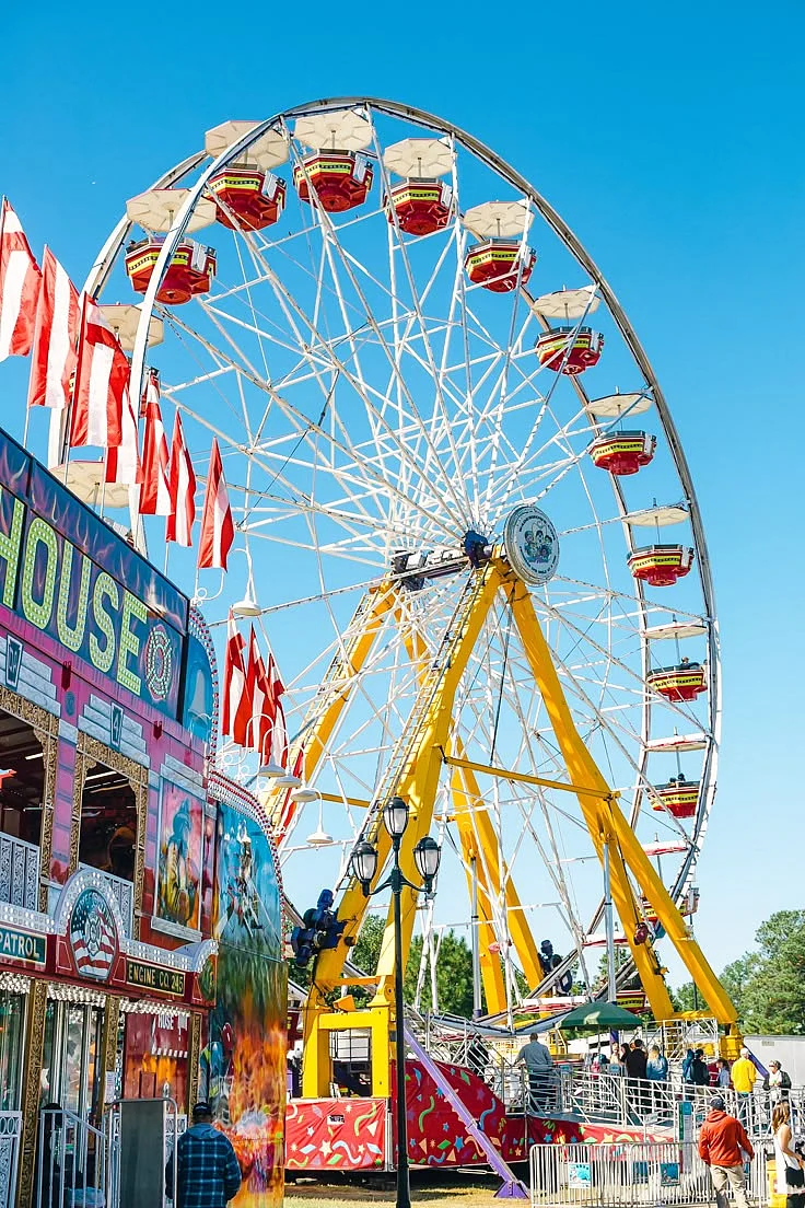 Amusement Parks 21