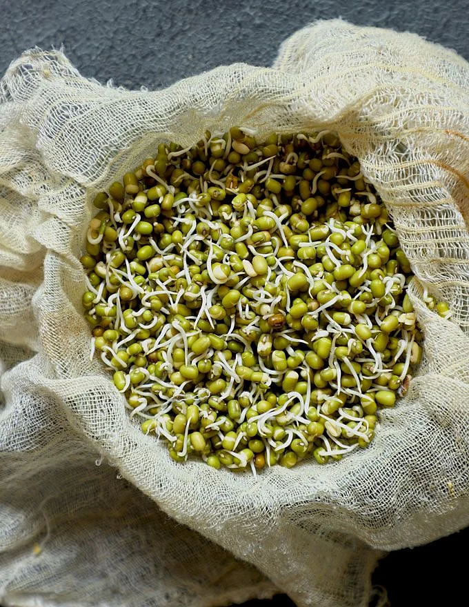 Healthy Sprout Salad Recipe 2