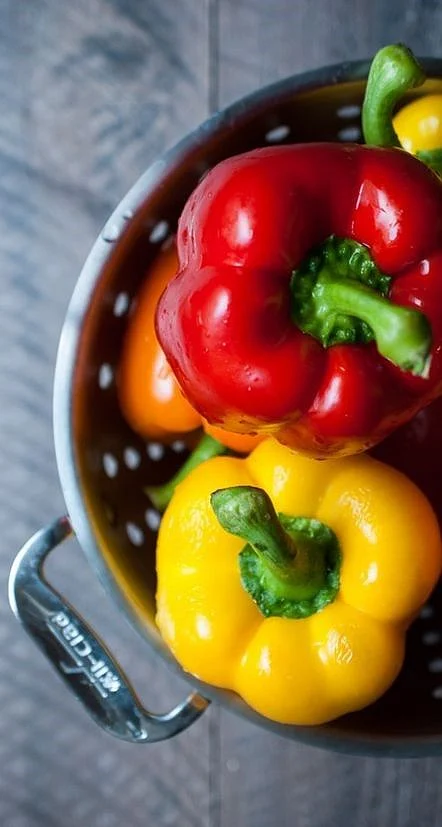 Capsicum 7