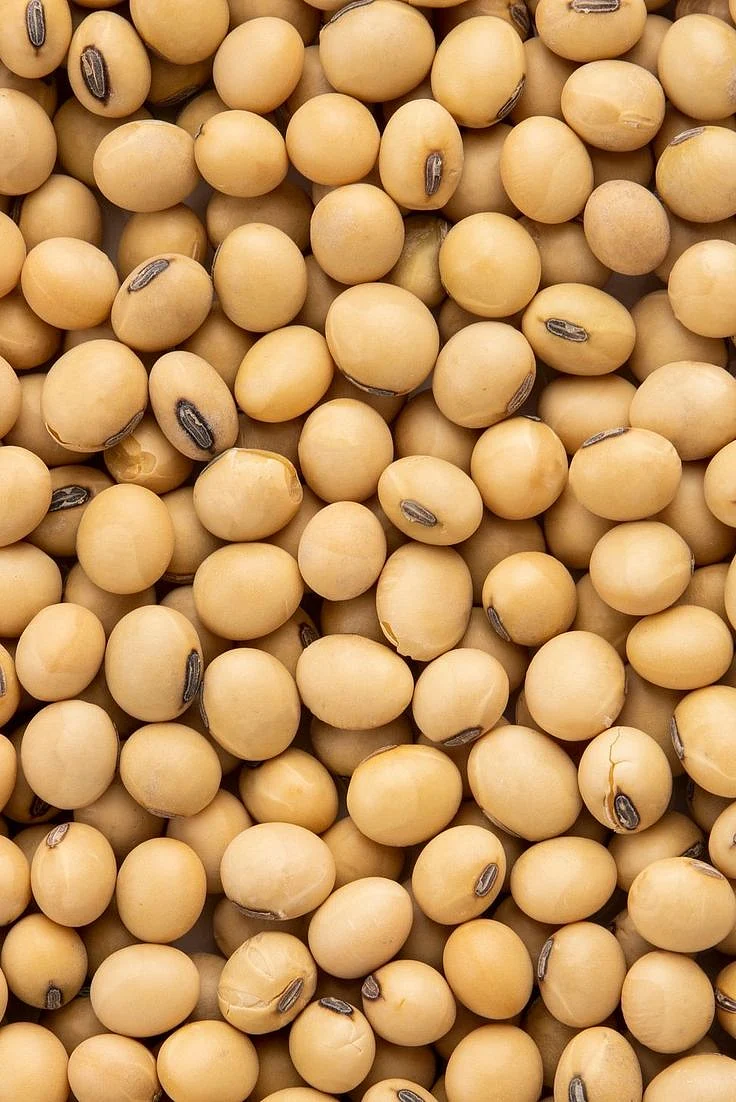 Soybean. 4
