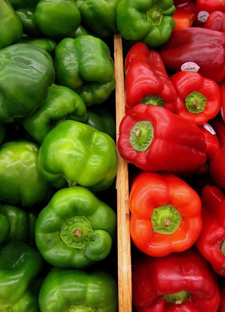 Capsicum 9