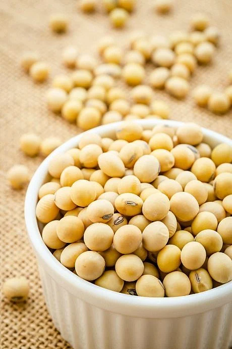 Soybean. 1