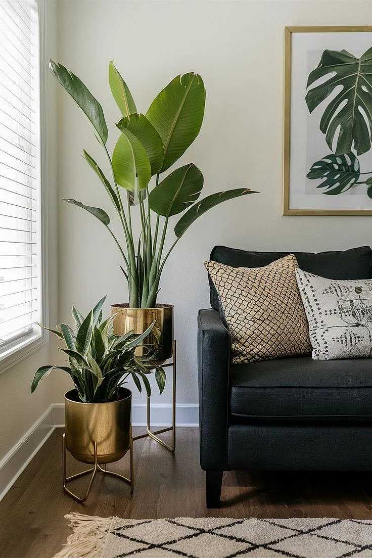 Indoor Plants 2