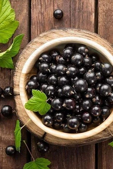 jamun. 1