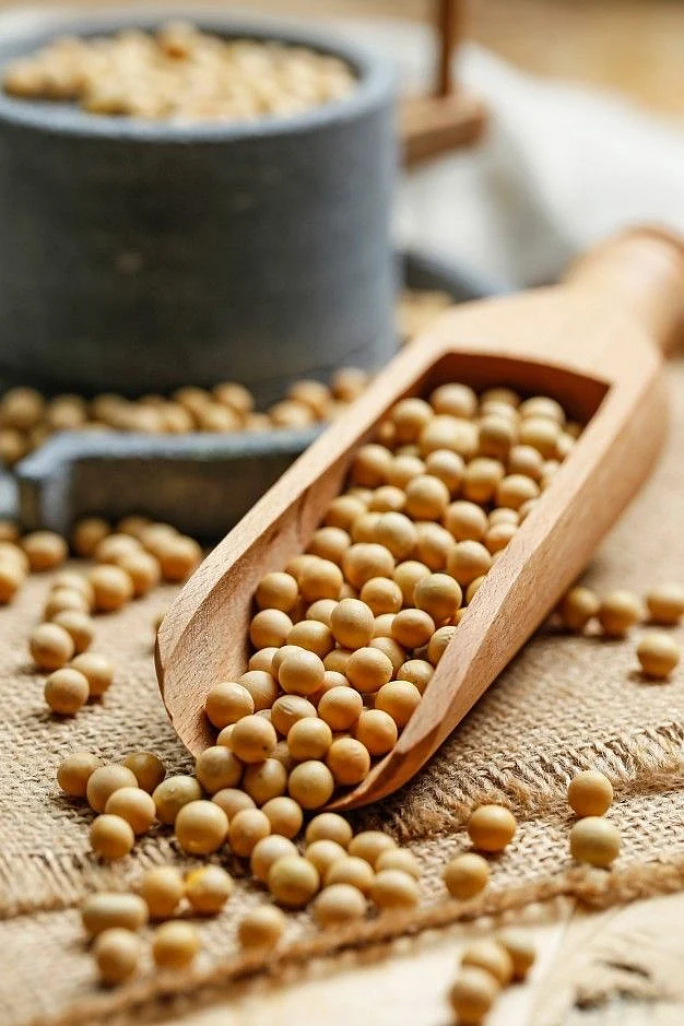 Soybean. 8