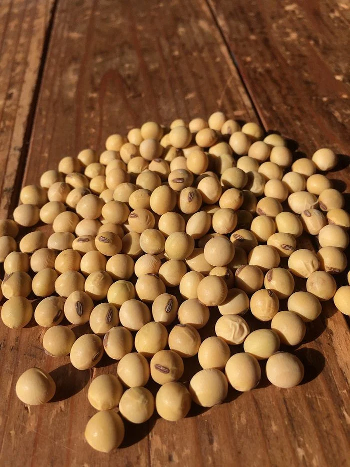 Soybean. 6