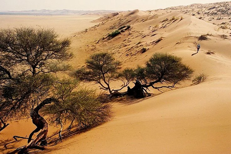 Kalahari Desert Africa