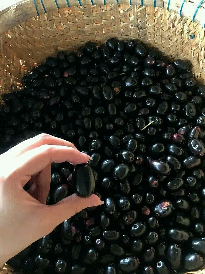 jamun. 4