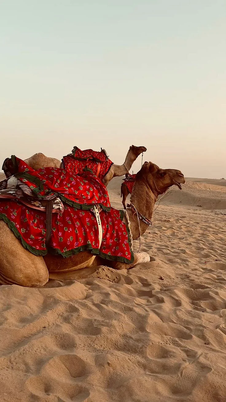 Adventurous Deserts