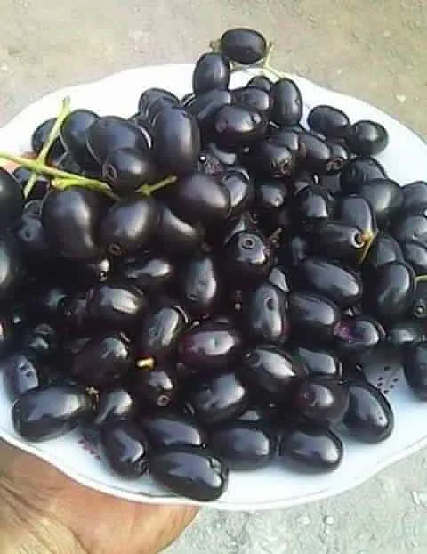 jamun. 6
