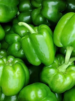 Capsicum 4