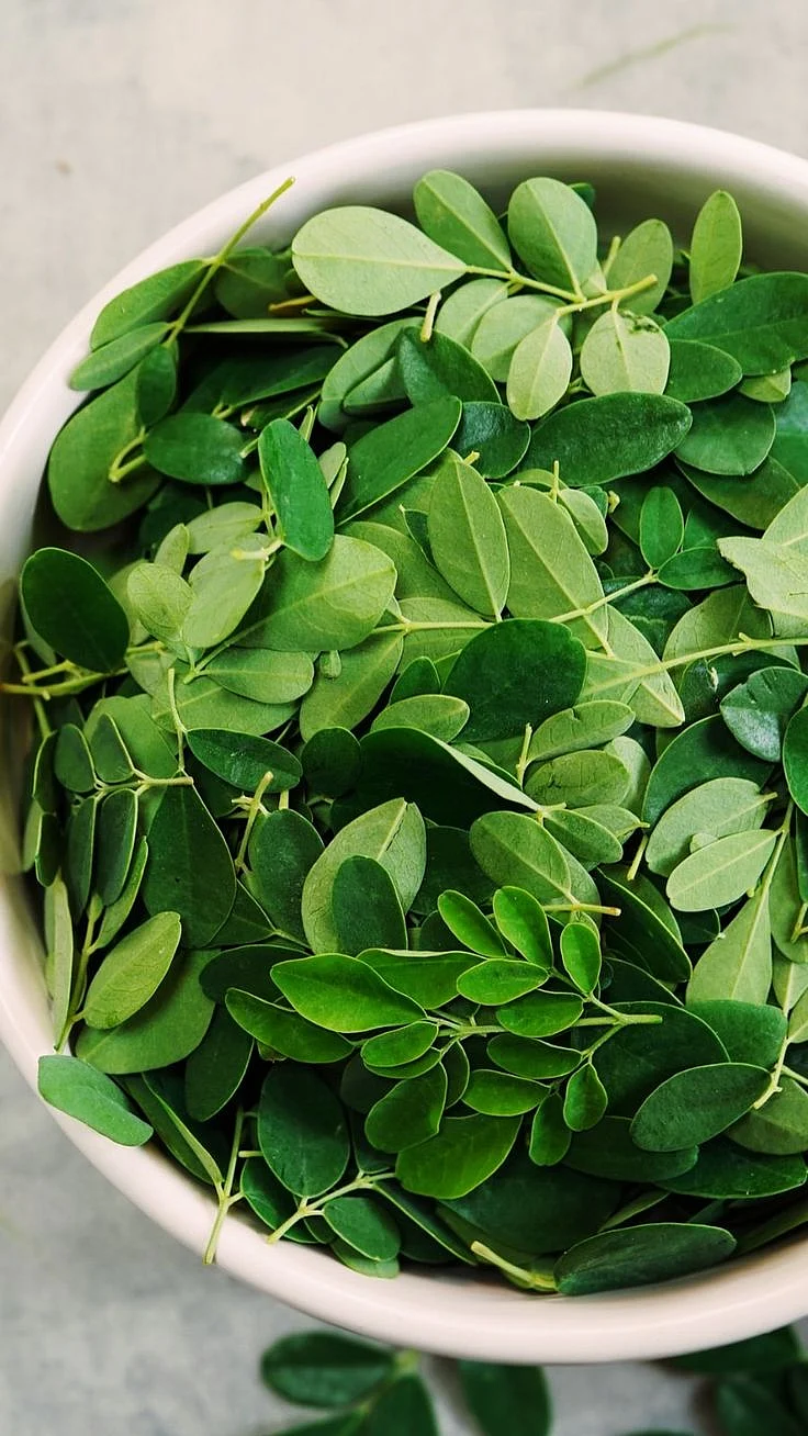 Moringa Leaves 7