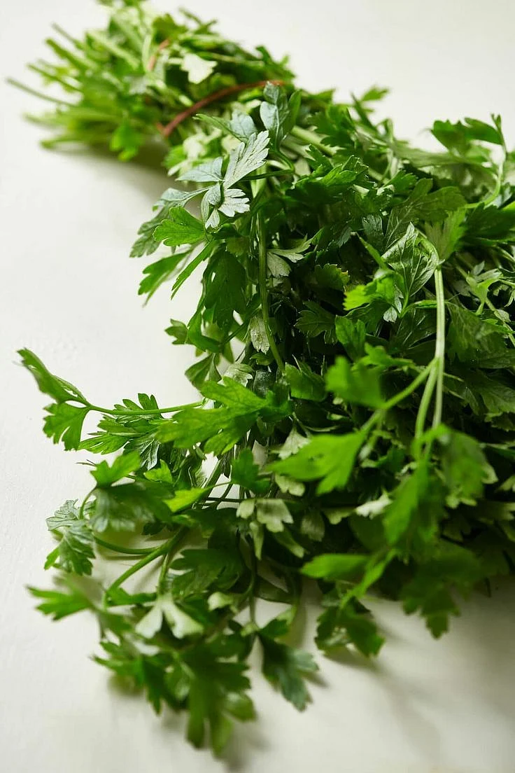 coriander leaf water 8