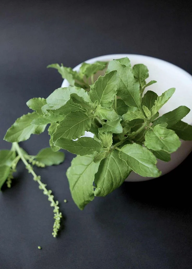 Tulsi. 4