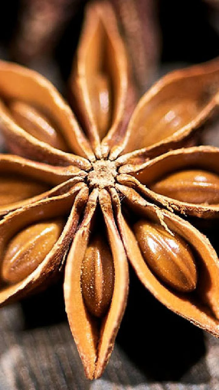 star anise 1689411660