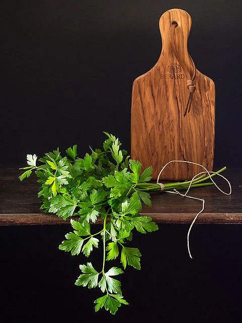 coriander leaf water 1