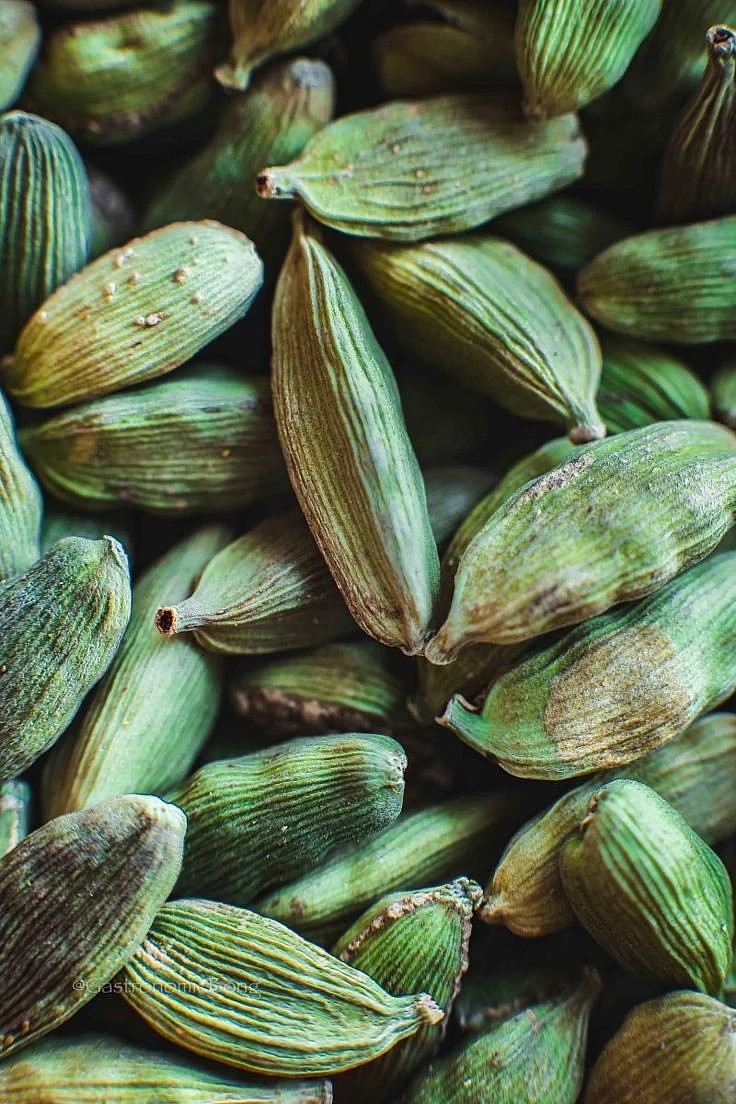 Cardamom 2