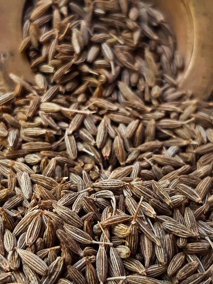cumin 2