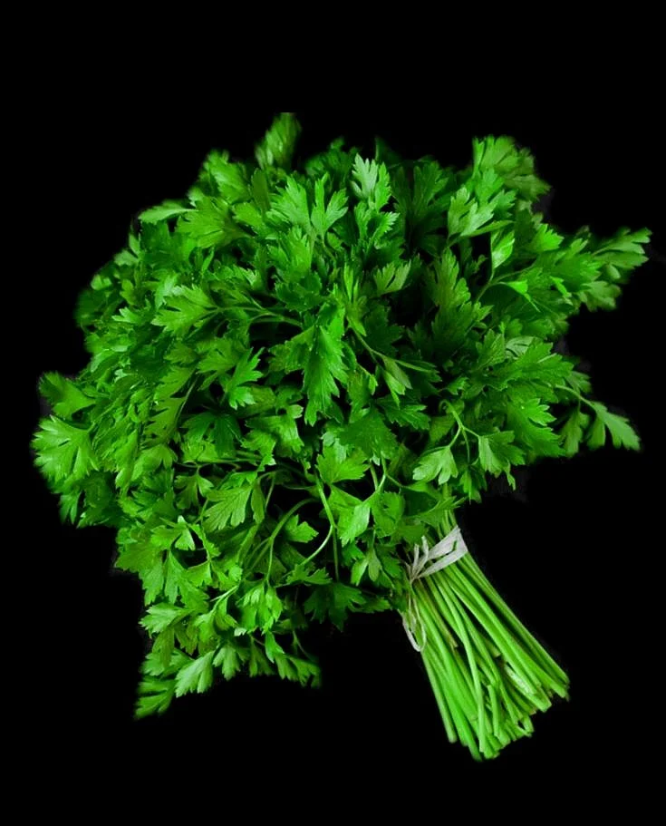 coriander leaf water 3