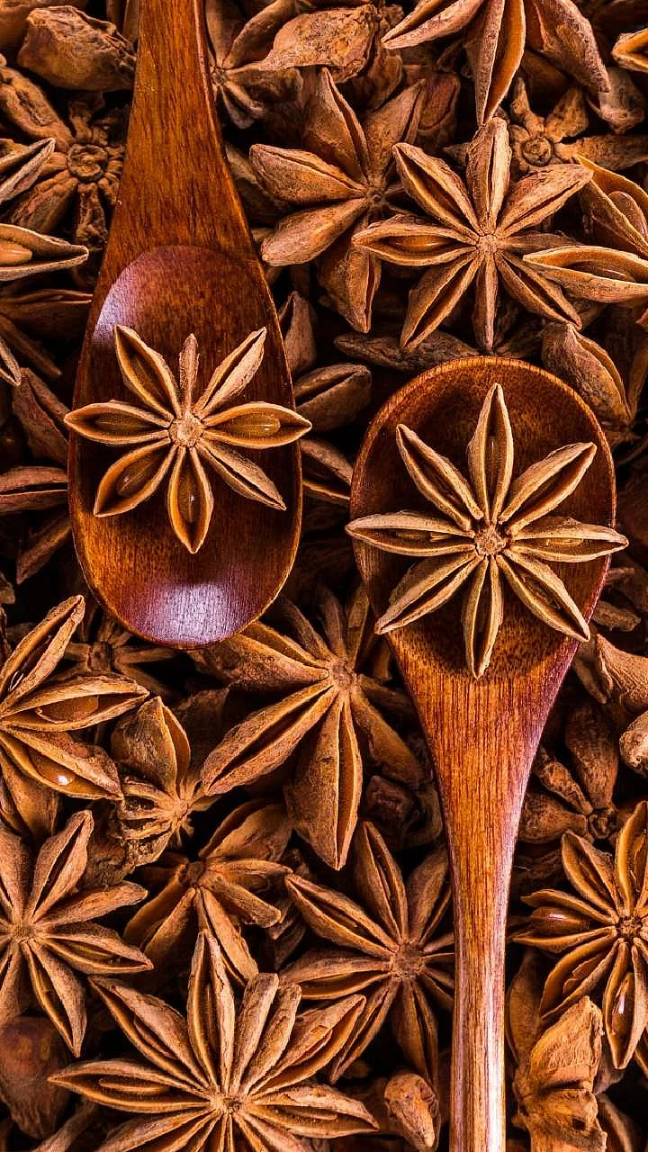 star anise 1725619177