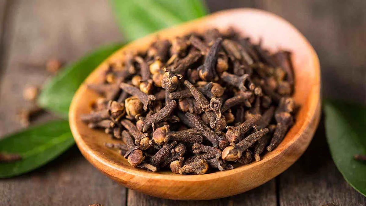 clove
