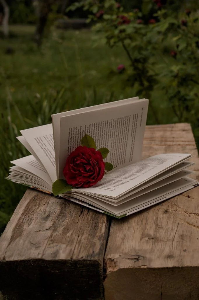 Book with rose Rose 1