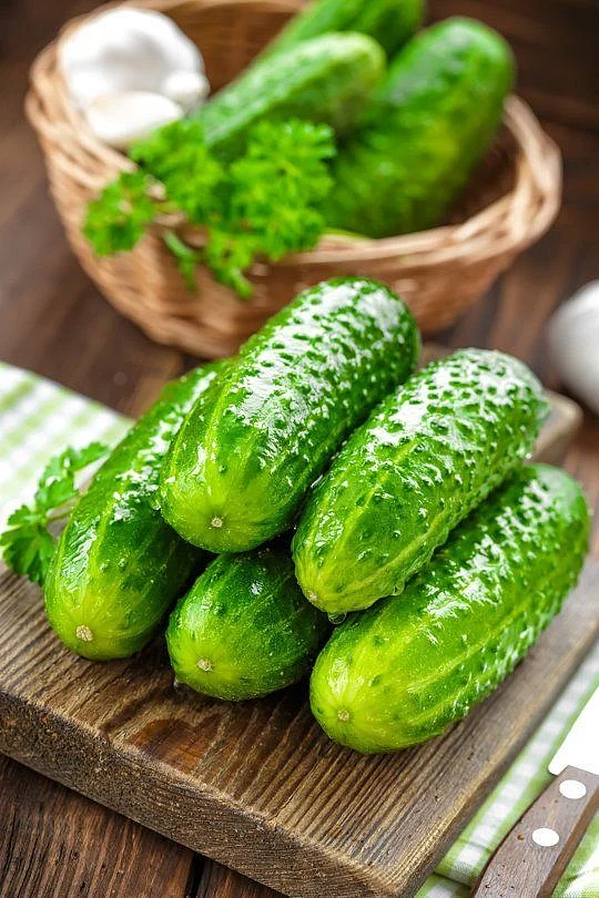 cucumber