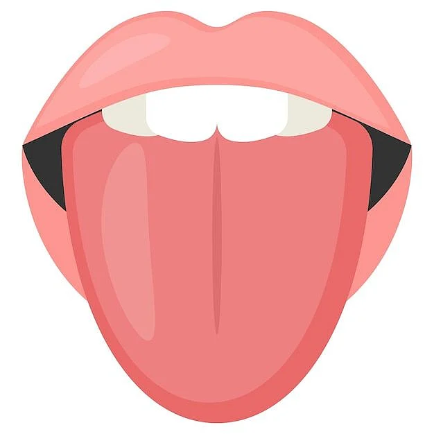 Premium Vector Taste buds on human tongue and Teeth Concept Vector Design Organ System Human Anatomy Human Body