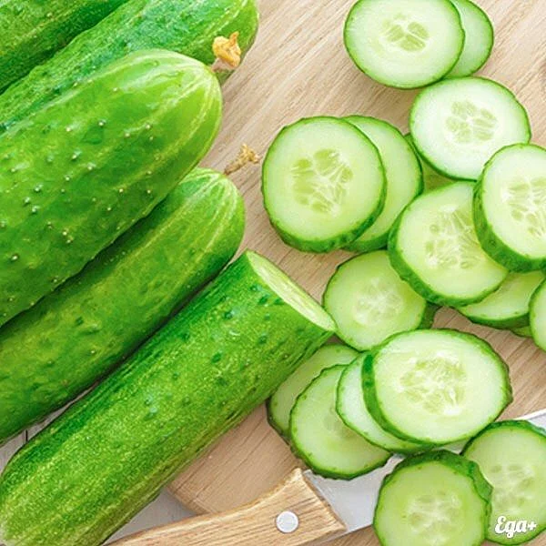 cucumber 6