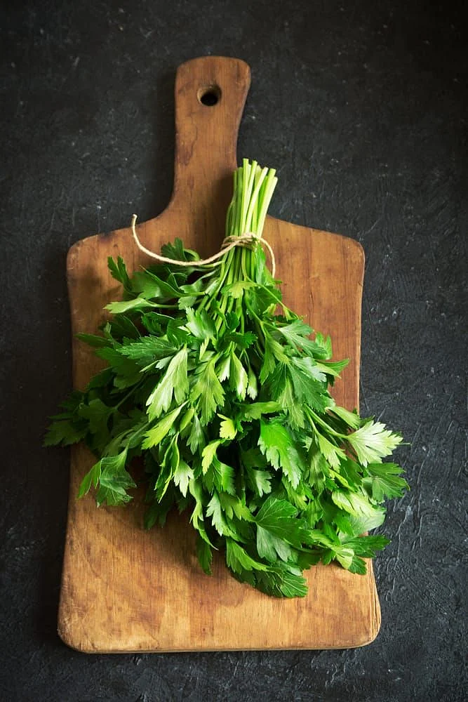 coriander leaf water