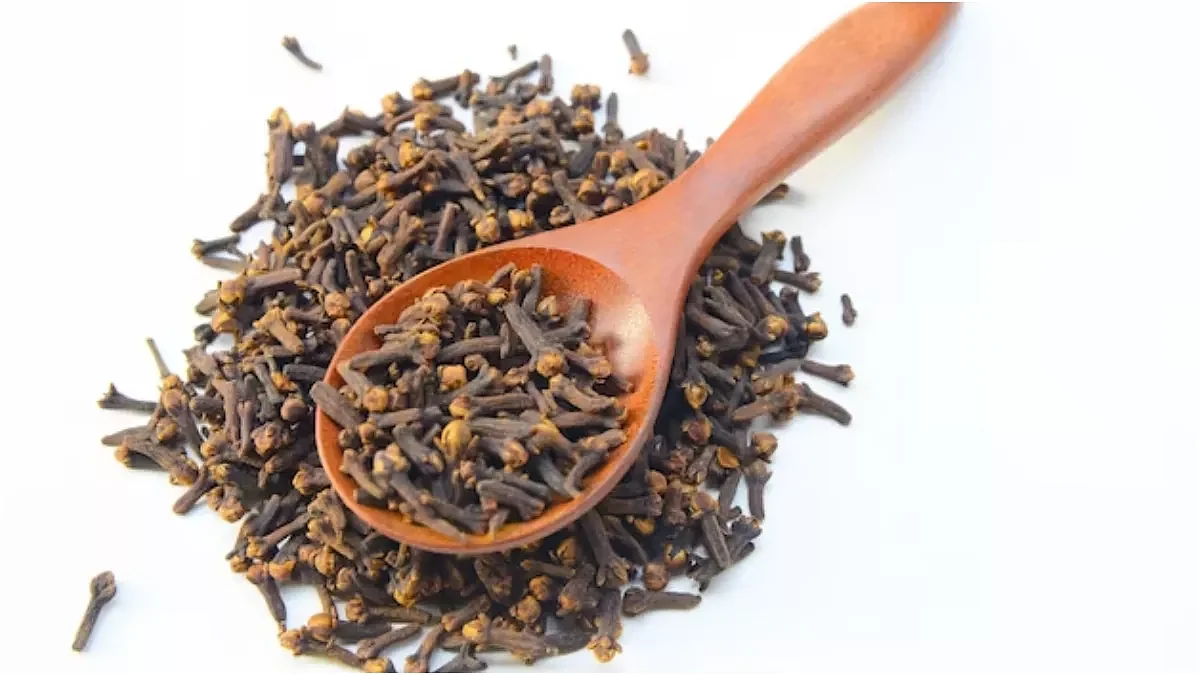 21042023 cloves23391400