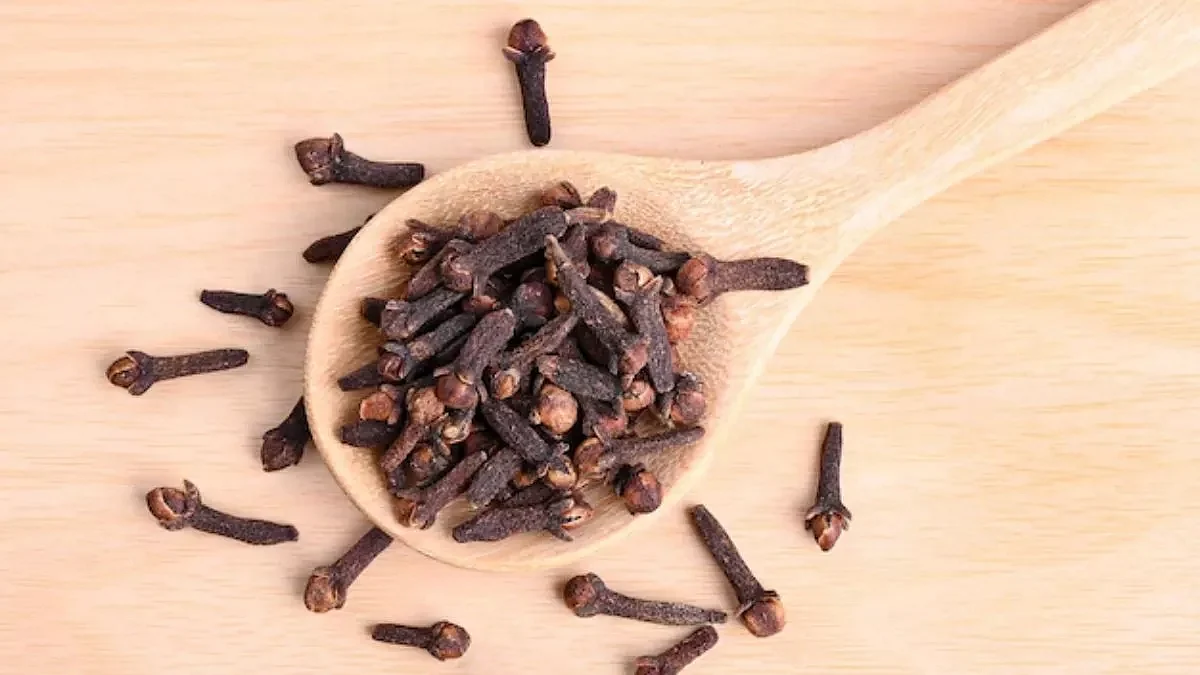 23112022 cloves23222804