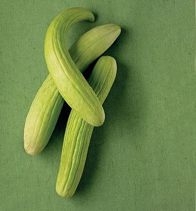 kakari