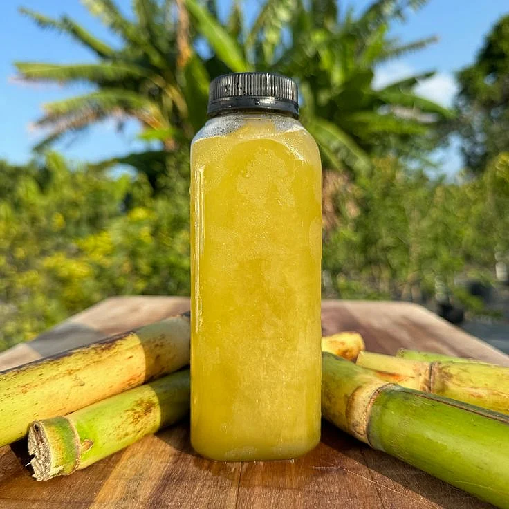 Sugarcane Juice 6