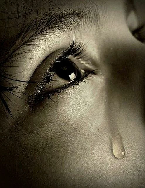 Tear Sad Crying Free photo on