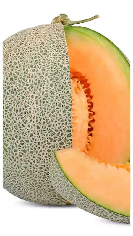 Watermelon And Melon Health benefits 9