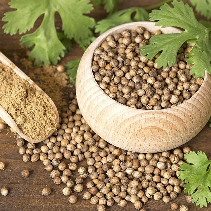 coriander. 7