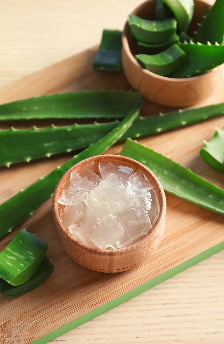 Make Your Own Aloe Vera Gel Make Your Own DIY Aloe Gel Sandbetweenmypiggiescom