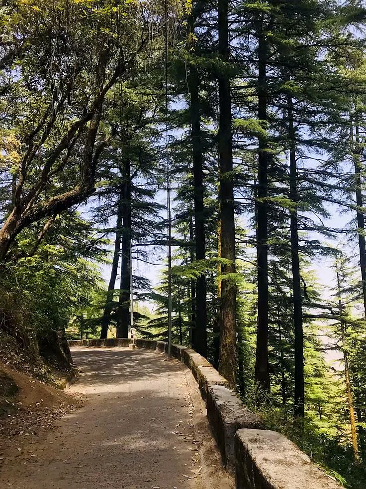 Mussoorie lal tibba Landour